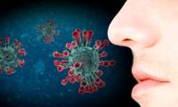 Loss of smell and taste may be a symptom of Covid-19: How did that happen?