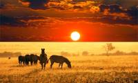 Macromedia Flash: Create effects for nature photos
