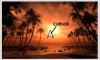 Macromedia Flash - Customize cursor