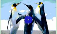 Macromedia Flash - Effect of 'oil spill'