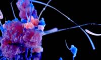 Marvel at the incredible beauty of chemical reactions