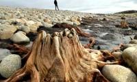 Marvel at the strange mysteries found after floods and storms