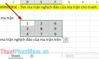 MINVERSE function - The function returns the inverse matrix of a given matrix in Excel