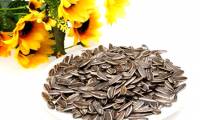 Mold sunflower seeds contain toxins that cause liver cancer