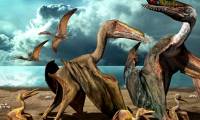 More than 200 fossil reptile eggs found in China