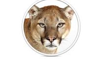 Mountain Lion market share exceeded 10% in just 1 month