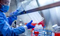 New discovery of a long-standing vaccine may help fight SARS-CoV-2