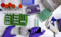 New drugs can prevent genes that cause cancer