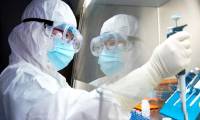 New research: SARS-CoV-2 virus from nature, not from laboratory