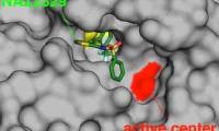 Officially identified the target receptor for the treatment of neuroblastoma