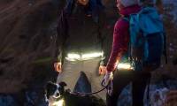 OliLight climbing lamp sends an alarm signal when disaster strikes