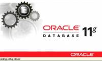 Oracle Database 11g set a new world record