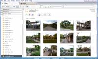 Picasa photo viewing software, the best free photo manager