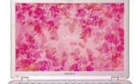 'Pink Ball' Sony Vaio VGN-CR510E