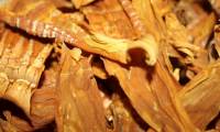 Proper dry soaking helps eliminate toxins