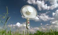 Proper maintenance and cleaning of tree fans