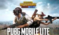 PUBG Lite player configuration on computer, laptop