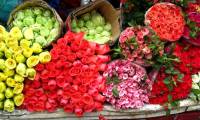 Recipes keep fresh flowers long during Tet holiday