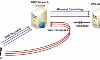 Release software to check DNS server vulnerabilities