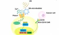 Researchers are developing remote-controlled cancer immune systems