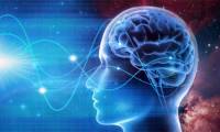 Researchers invented a method that allows playing a puzzle game through brain waves
