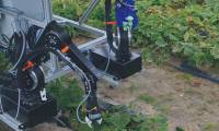 Robots are equipped with two arms to help harvest cucumbers
