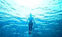 Scientifically proven: Swimming helps the brain stay healthy and reduce stress, fatigue