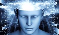 Scientists create machines that can read your mind, up to 70% accurate