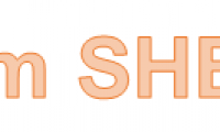 SHEET function - The function returns the worksheet number value of the referenced worksheet in Excel