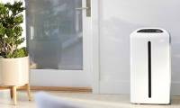 Should choose dehumidifier or dehumidifying air purifier for the family?