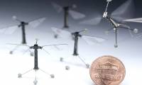 Small autonomous robots can think and act like insects
