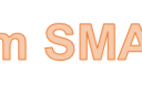 SMALL function - The function returns the kth smallest value in a dataset in Excel