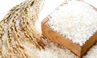 Soaking rice overnight can reduce the risk of heart disease and cancer