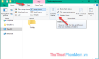 Software shows hidden files in USB, computer