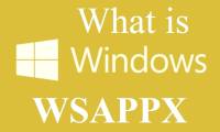 Something about Wsappx in Windows