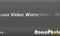Stamp video with Video Watermark Pro software