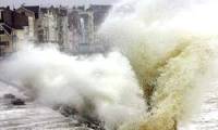 Storm Worm caused 'waves' in cyberspace