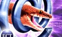 Storm Worm ruled the world of blogs