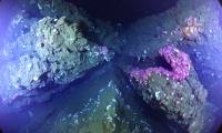 Strange beauty of lava pillow under the Atlantic Ocean