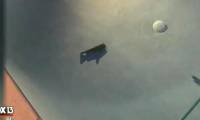 Strangely, the catfish from the sky to the pool is still alive