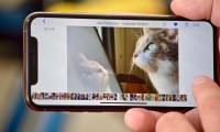 Stuck at home? Use iPhone Photos to relive memories and view live photos