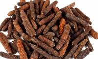 Stunned to discover Indian long pepper can fight cancer