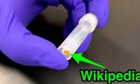 Successfully compressed 16GB of Wikipedia text data into DNA strings