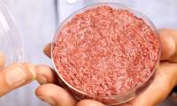 Successfully manufactured meat from the air