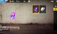 Tet Fire Garena Free Fire and how to collect rewards