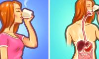 The best things you should not do when hungry