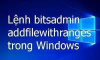 The command bitadmin addfilewithranges in Windows
