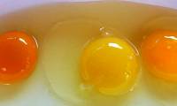 The darker the egg yolk, the higher the nutritional value?