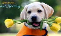 The Facebook cover photos are good morning, meaningful