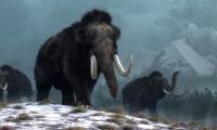 The giant structure was discovered from mammoth bones 25,000 years ago